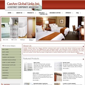Web Design & Development: CanAm Global Links